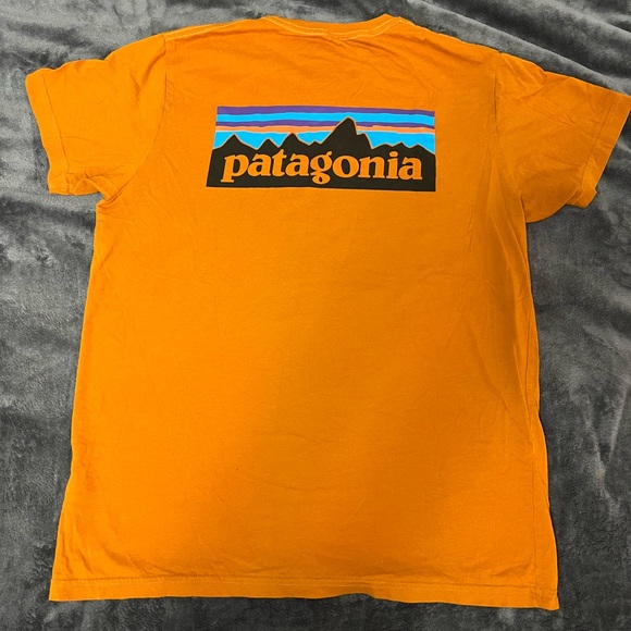 Patagonia slim fit tee - Picture 3 of 4